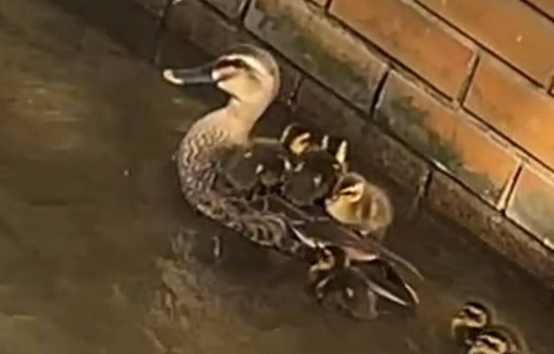 不安な事は聞いてみる